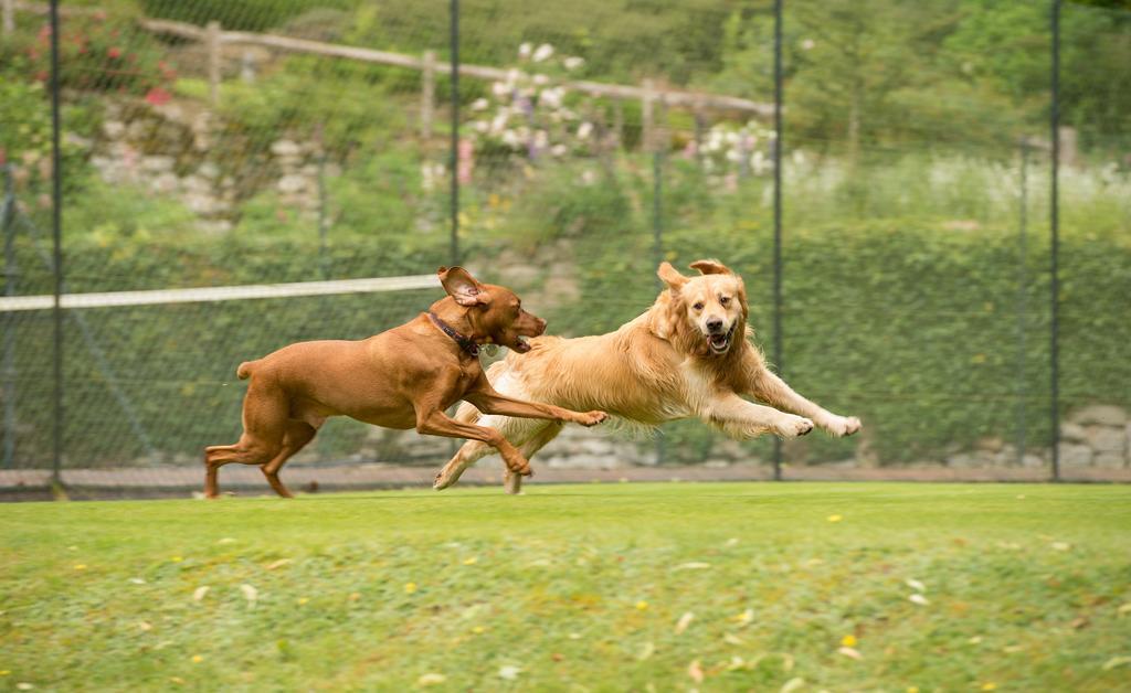 Gidleigh Park- A Relais & Chateaux Hotel แชกฟอร์ด ภายนอก รูปภาพ